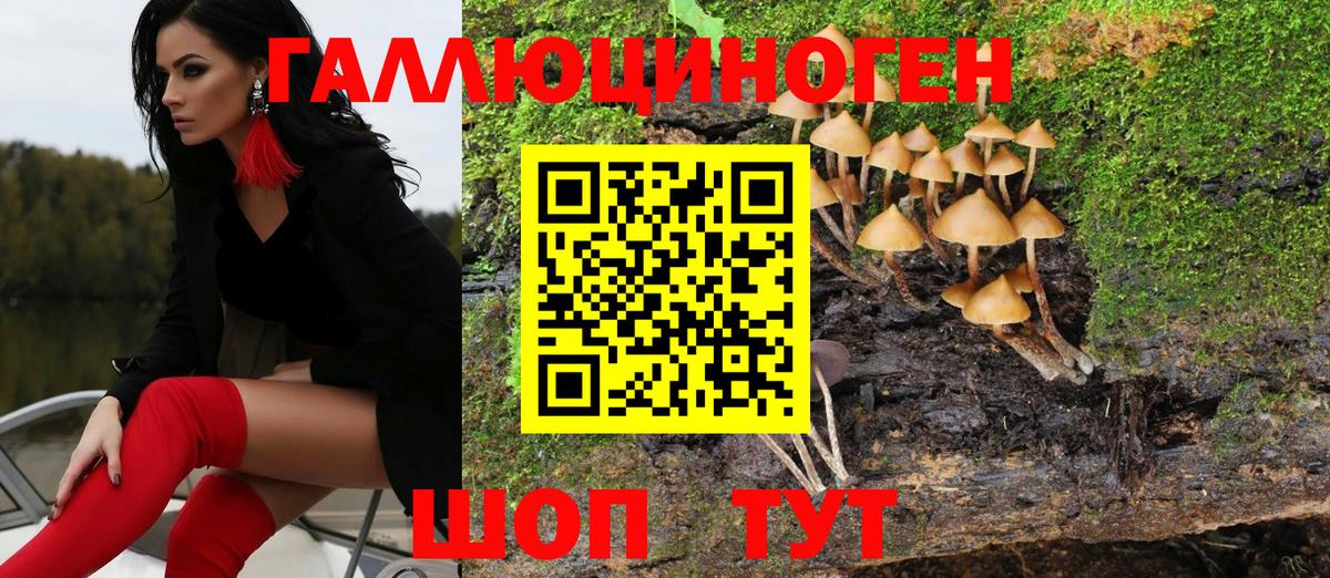 Галлюциногенные грибы GOLDEN TEACHER Кропоткин