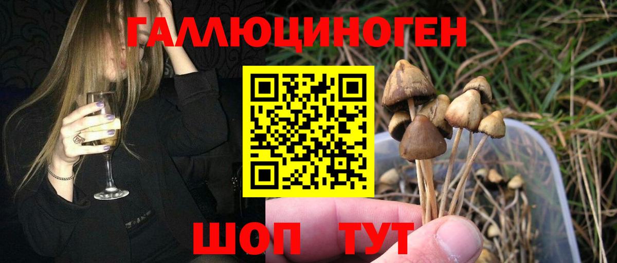 Галлюциногенные грибы GOLDEN TEACHER  Псилоцибиновые грибы Magic Shrooms  Вход с VPN  Кропоткин 